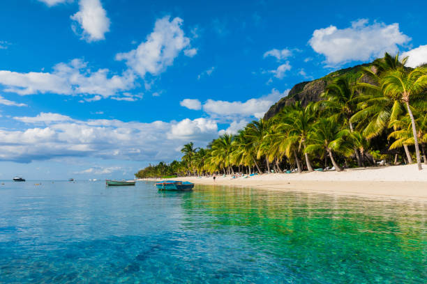 The 6 best things to do in Mauritius